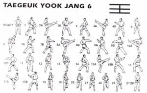 WTF Taekwondo Blue Belt Form| Poomsae Taegeuk Yuk Jang - Tae Kwon Do Nation