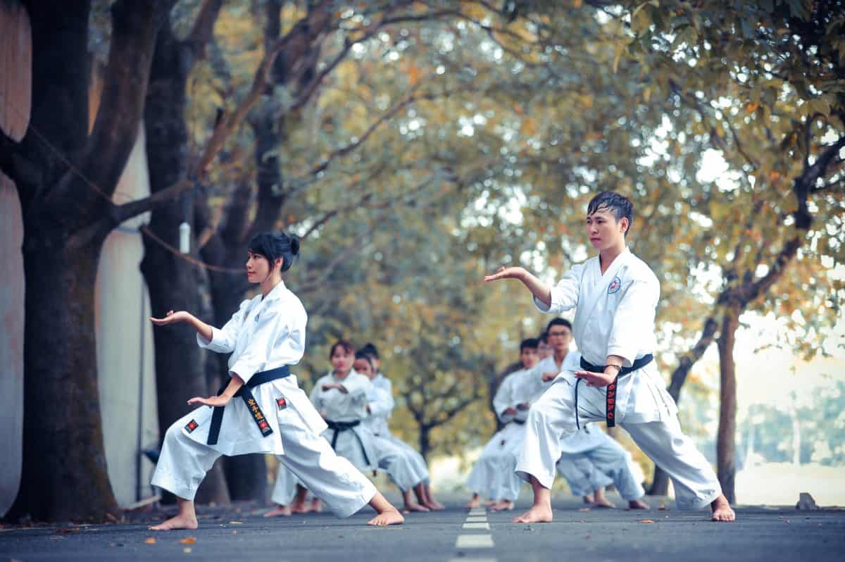 What Are the 12 Most Popular Types of Martial Arts? - Tae Kwon Do Nation