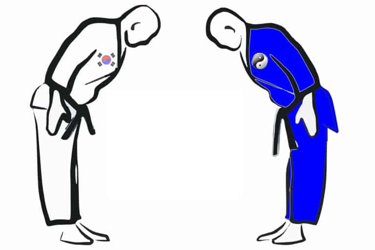 what-are-the-major-differences-between-karate-and-taekwondo-hong-ik