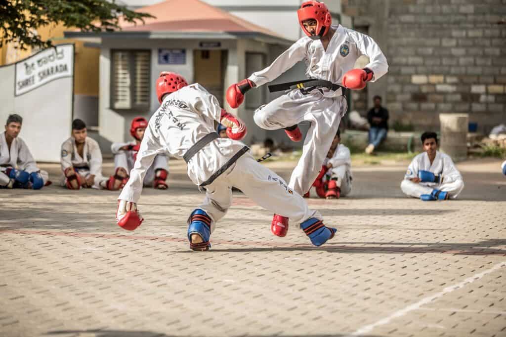 Speed in Taekwondo Training