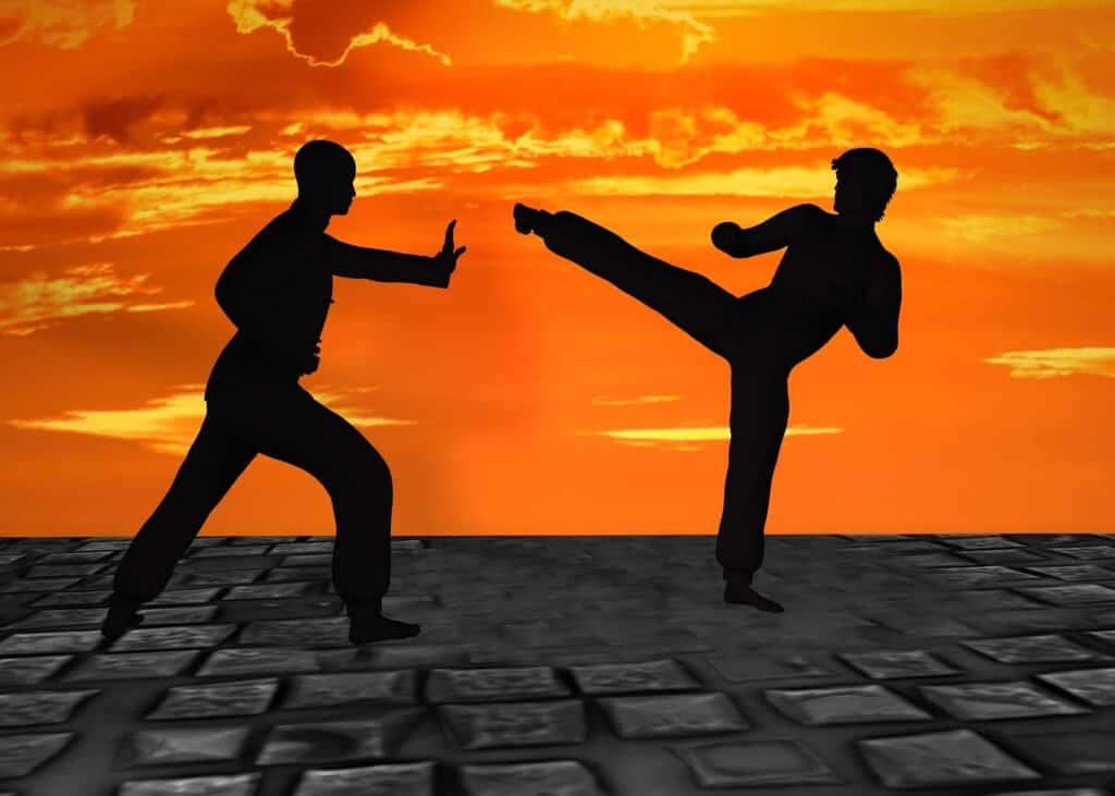 Mixing Taekwondo and other Martial Arts